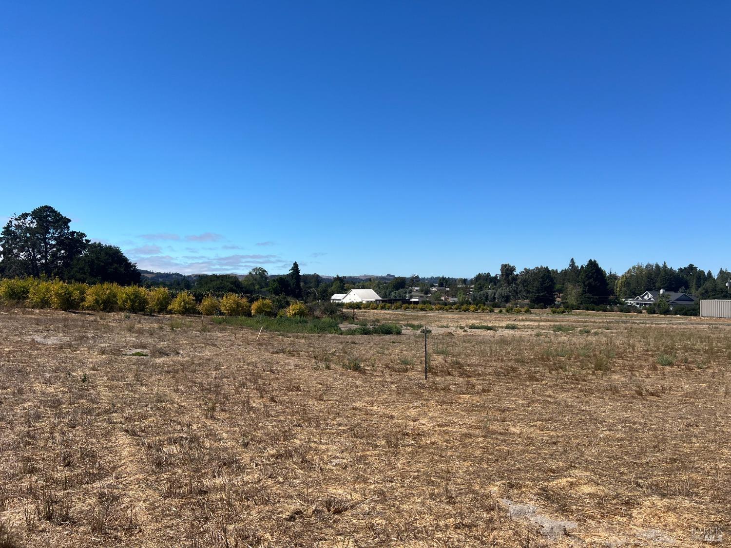 2183 Live Oak Farm Ln