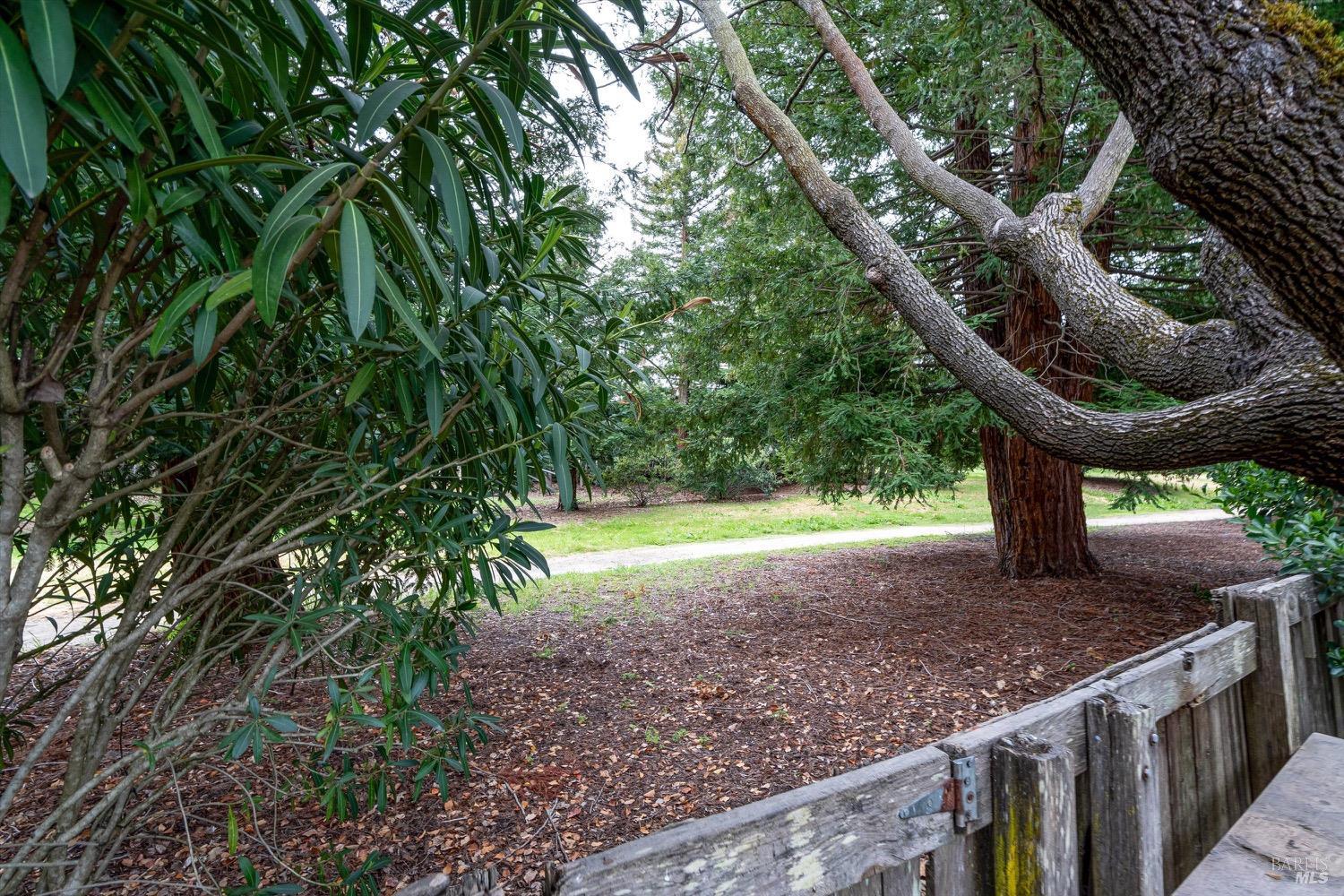209 Avenida Barbera Drive