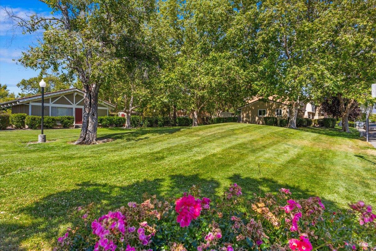 594 Santa Alicia Dr