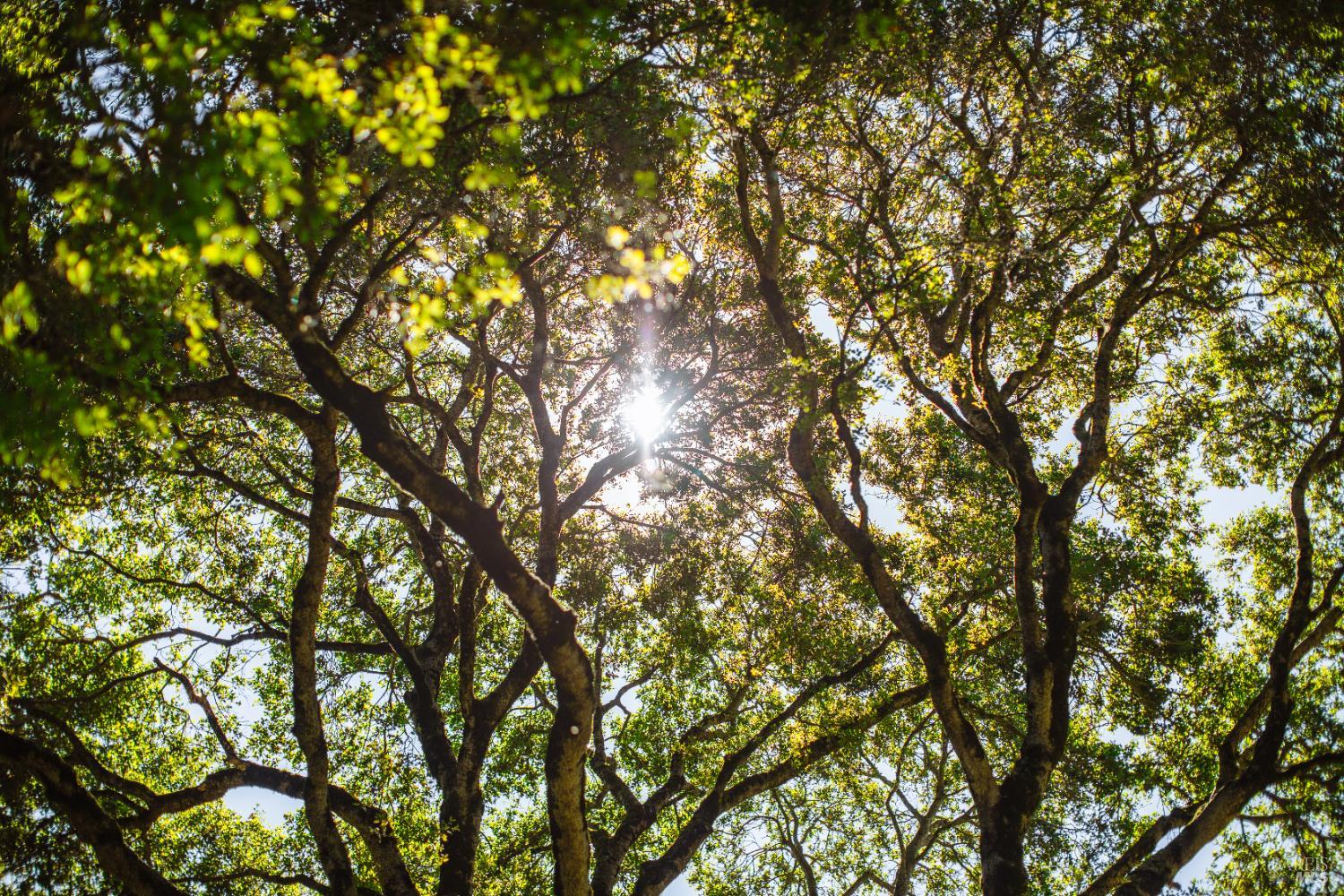 96 Valley View Drive