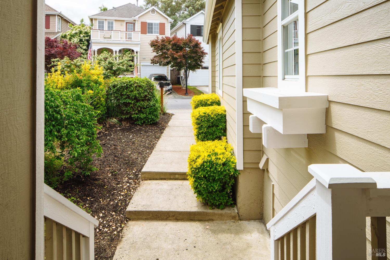 143 Mcnear Circle