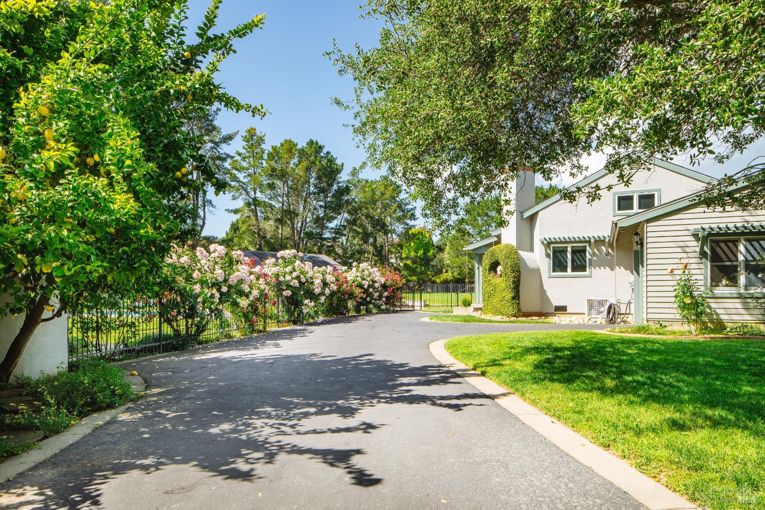 2288 Vineyard Road