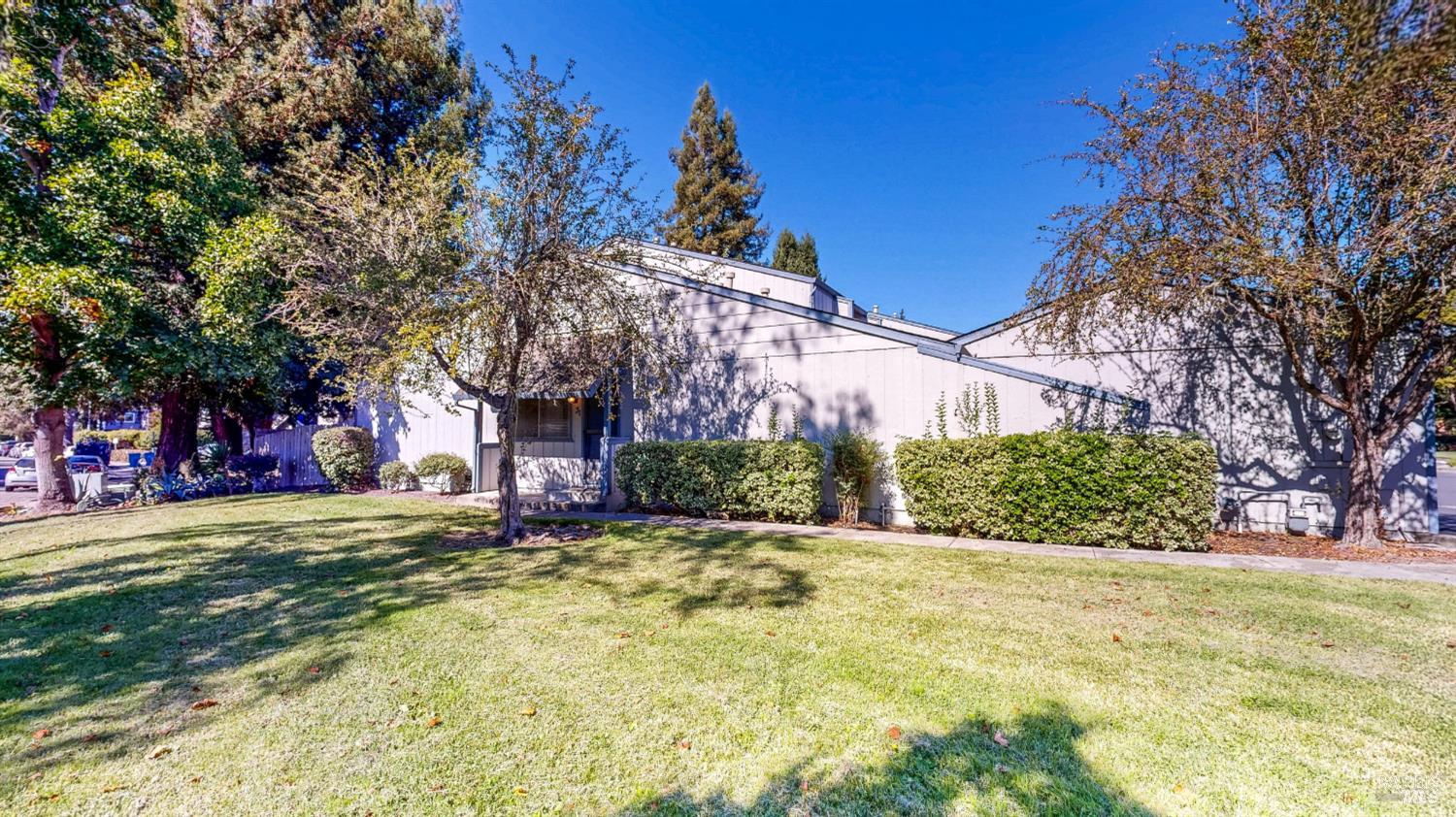 31 Conifer Square