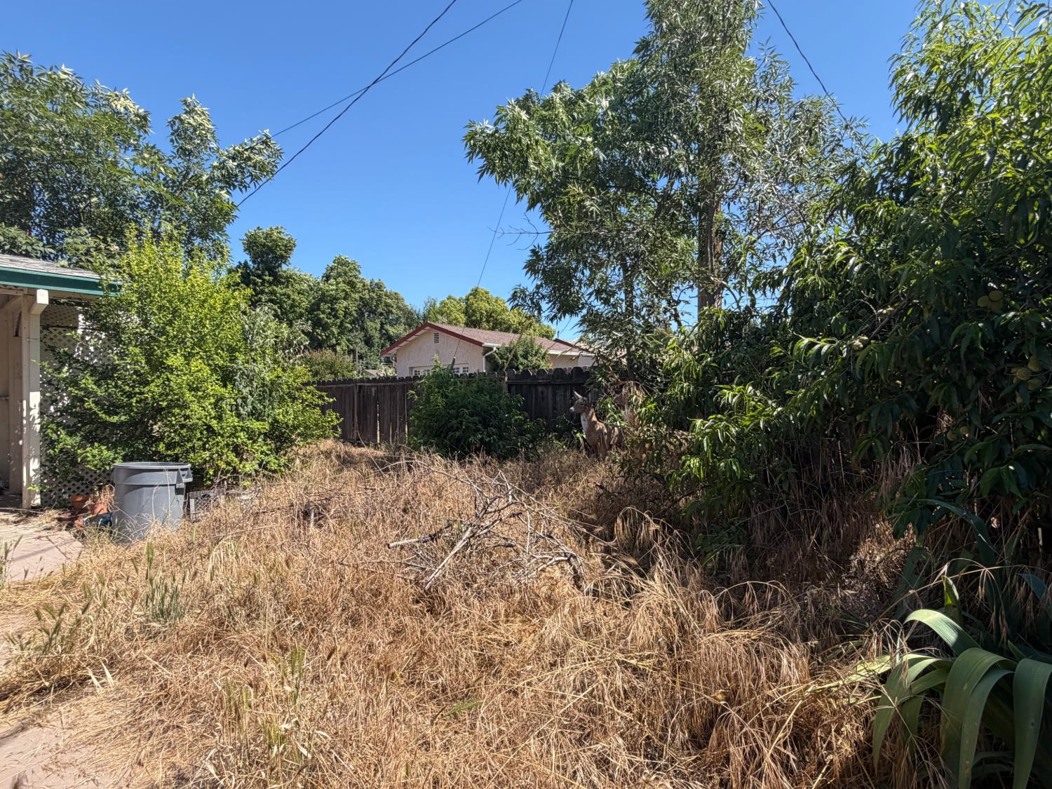 1813 Enslen Avenue