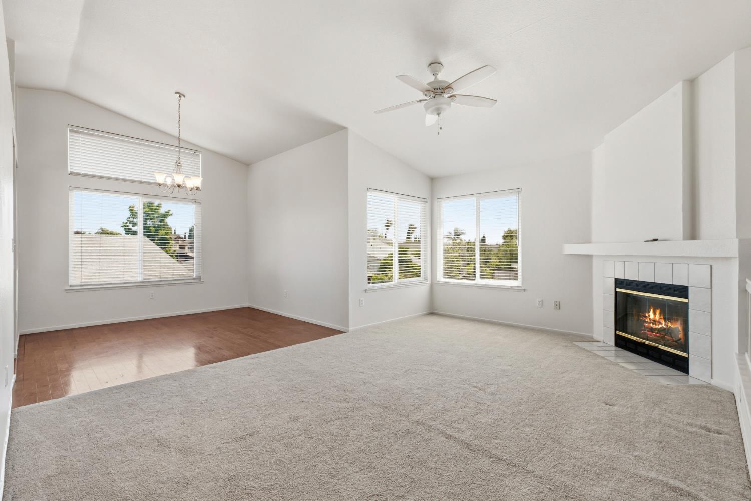 2305 Fidelia Court