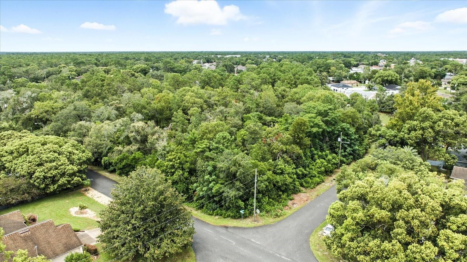 LINDEN DR