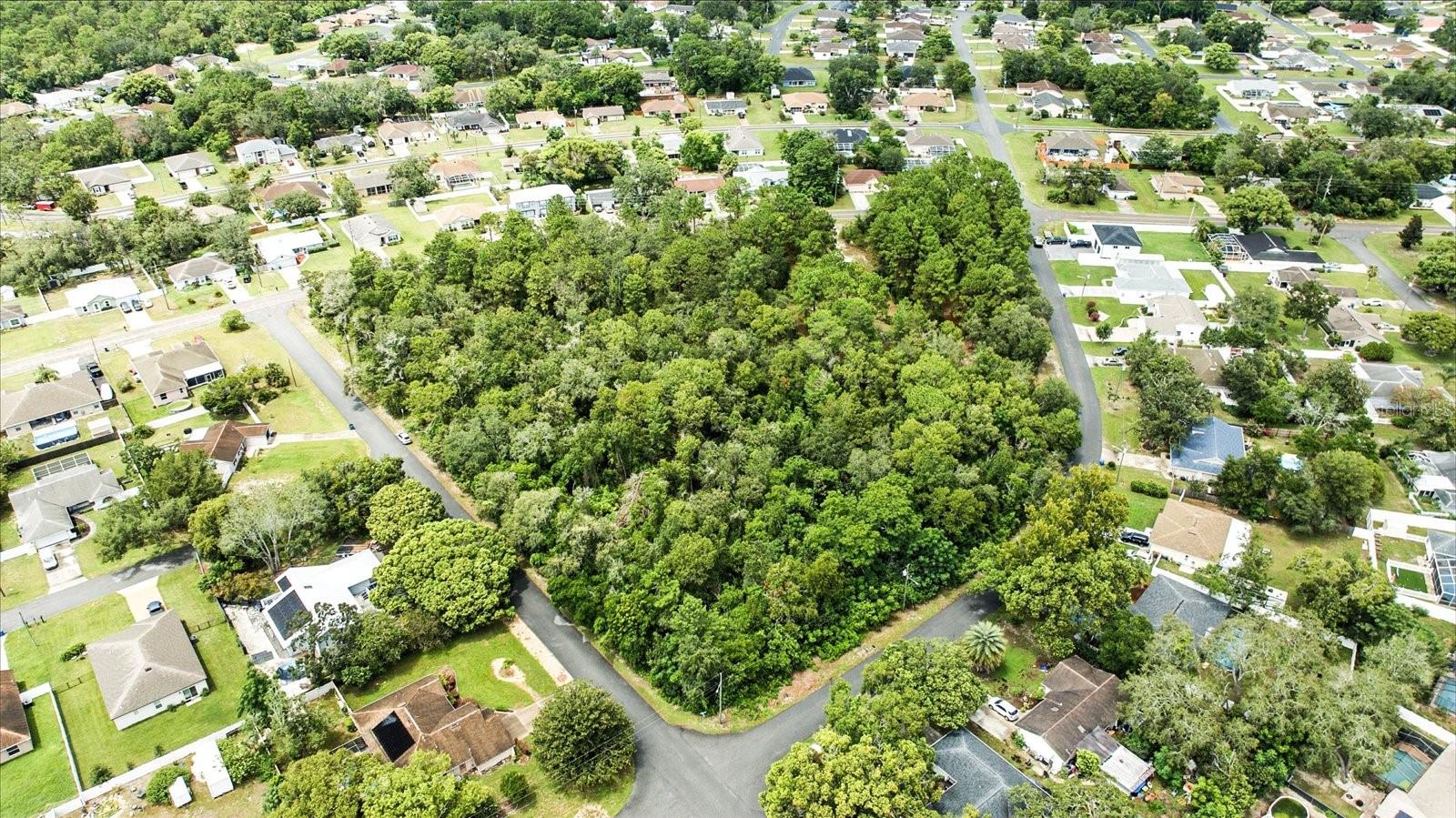 LINDEN DR