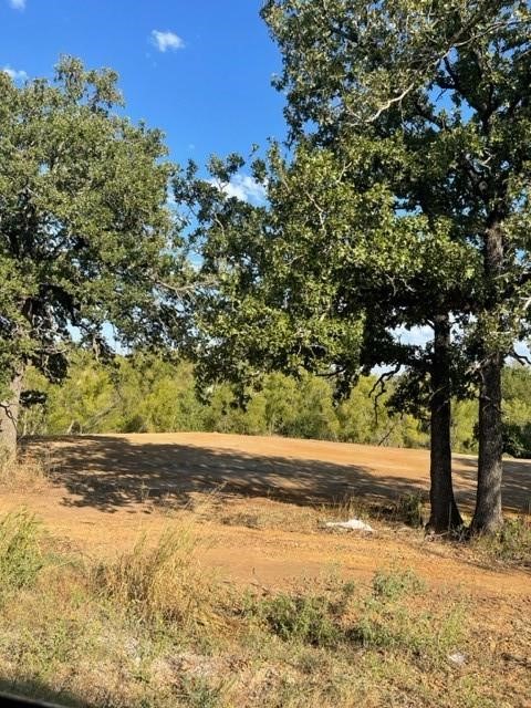 Partially cleared land beneath mature trees, with a broad patch of bare earth.