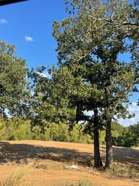 Rural property with mature oak trees shading a wide dirt drive.