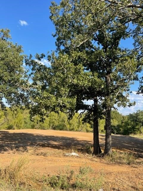 Cleared property with mature oak trees beside a dirt road.