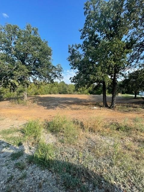 Cleared land bordered by mature trees and low vegetation.