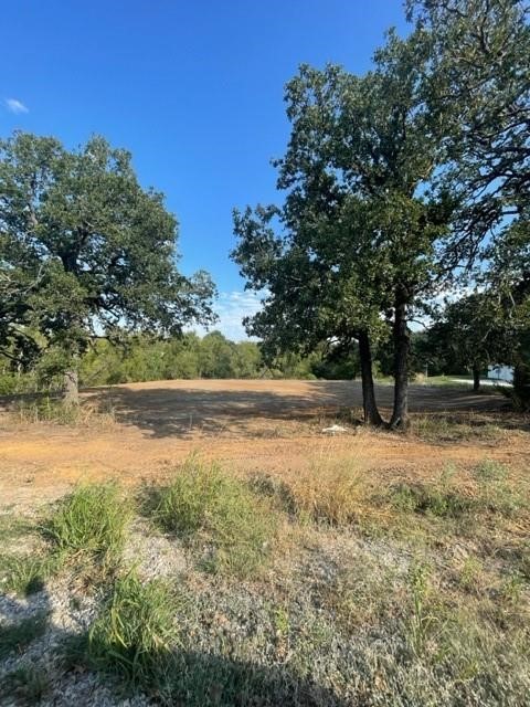 Cleared property lot beneath mature shade trees, with dry grass and a bright blue sky.