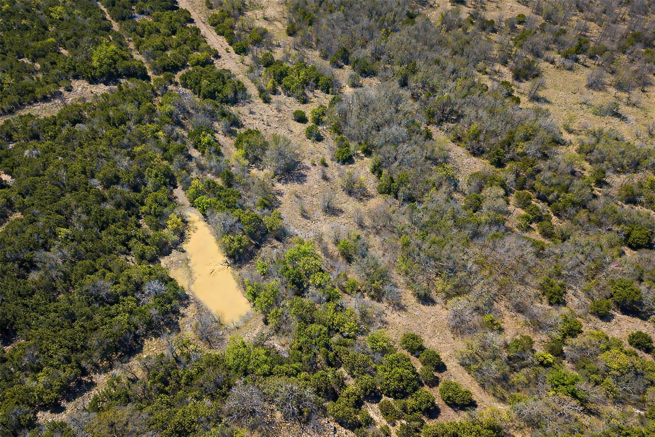 55 Crest Ridge Court