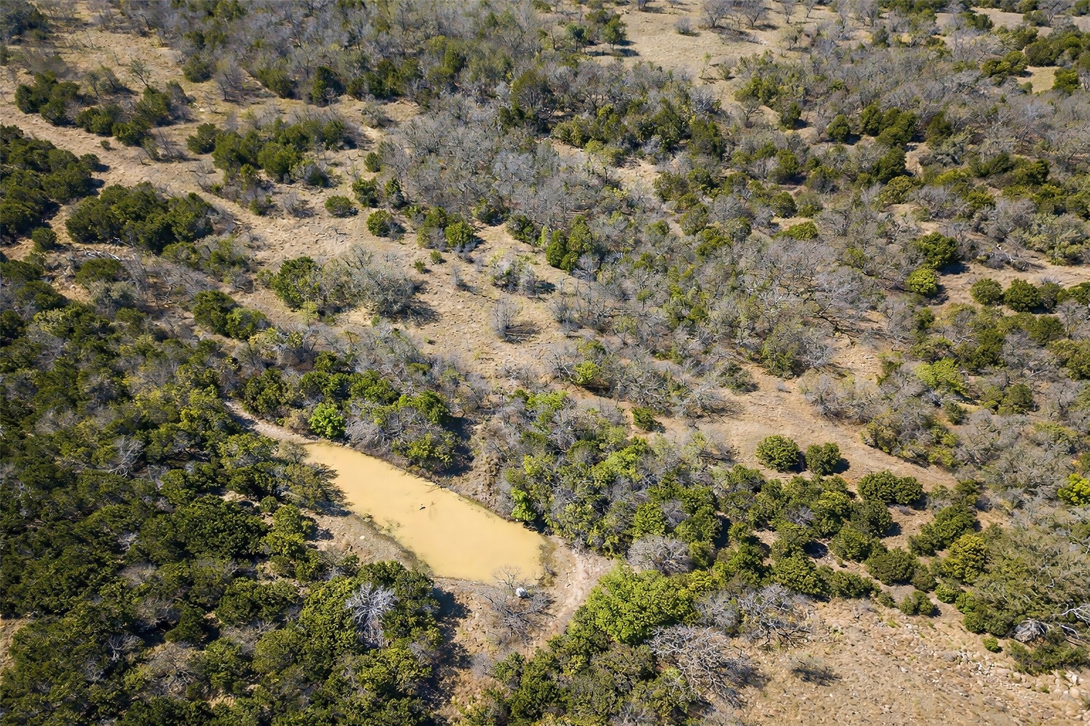 55 Crest Ridge Court