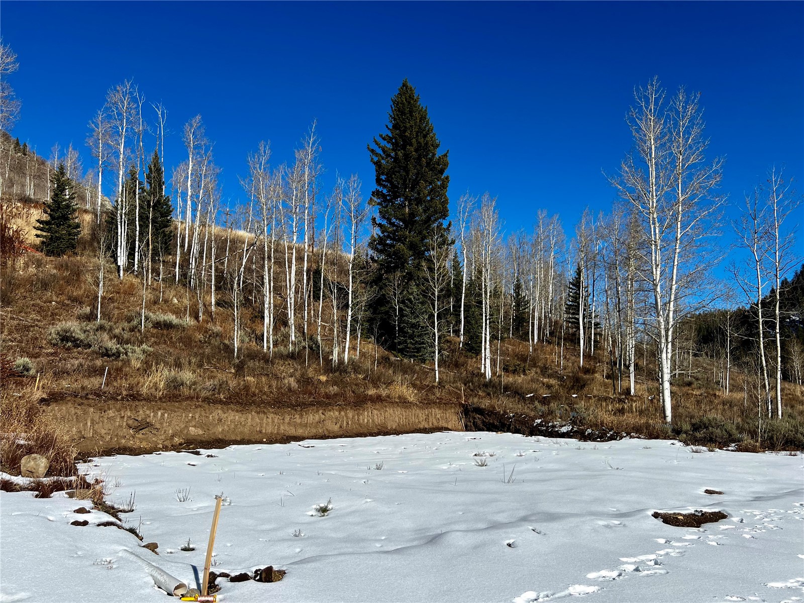29800 County Road 64
