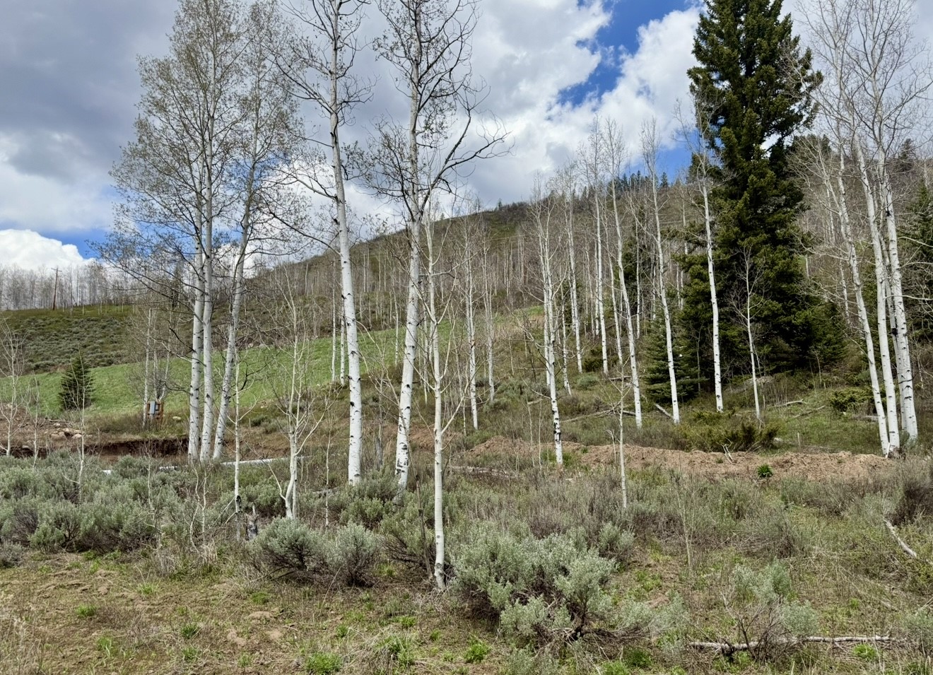 29800 County Road 64