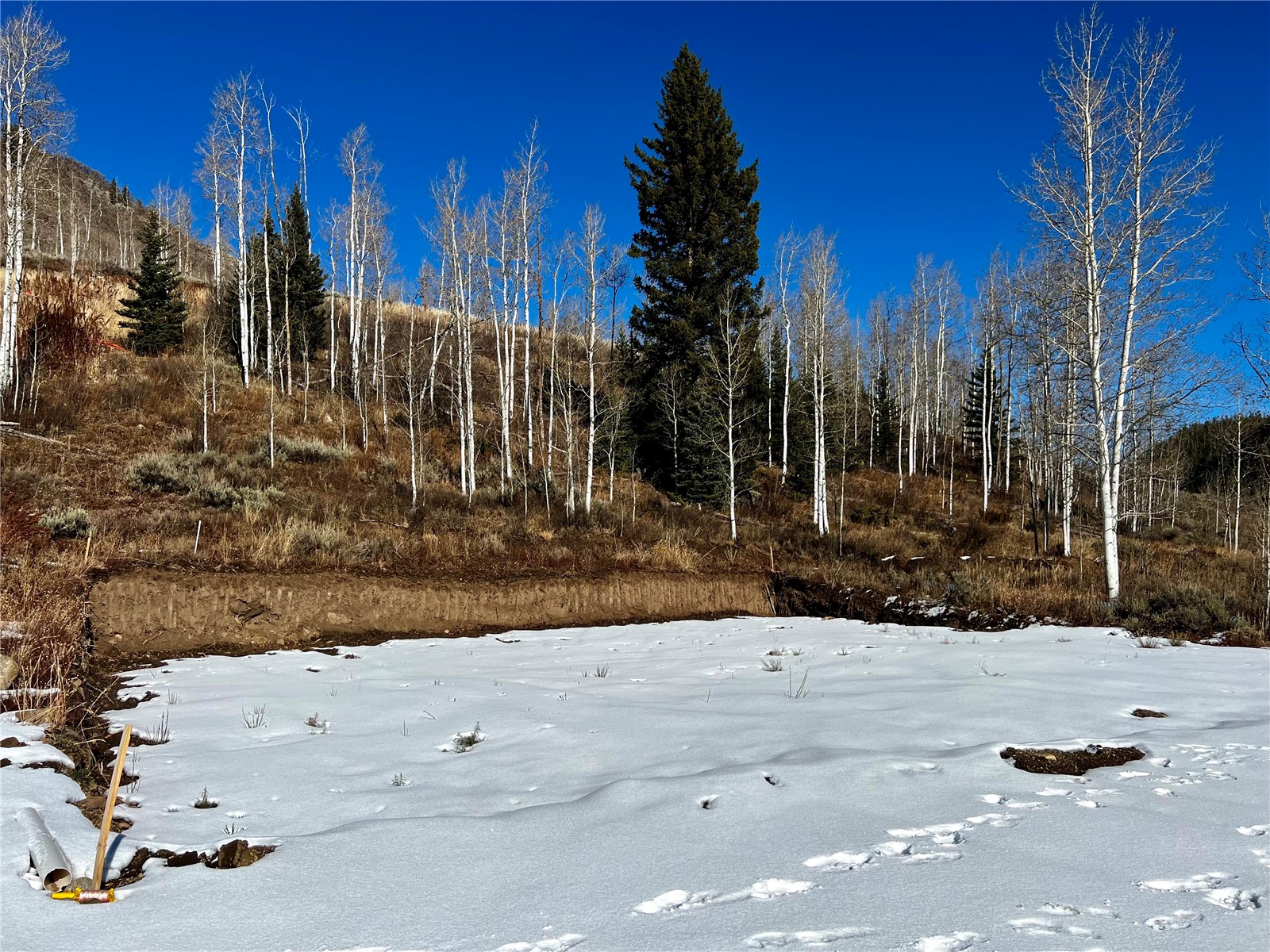 29800 County Road 64