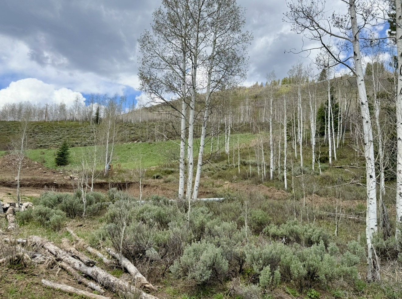 29800 County Road 64