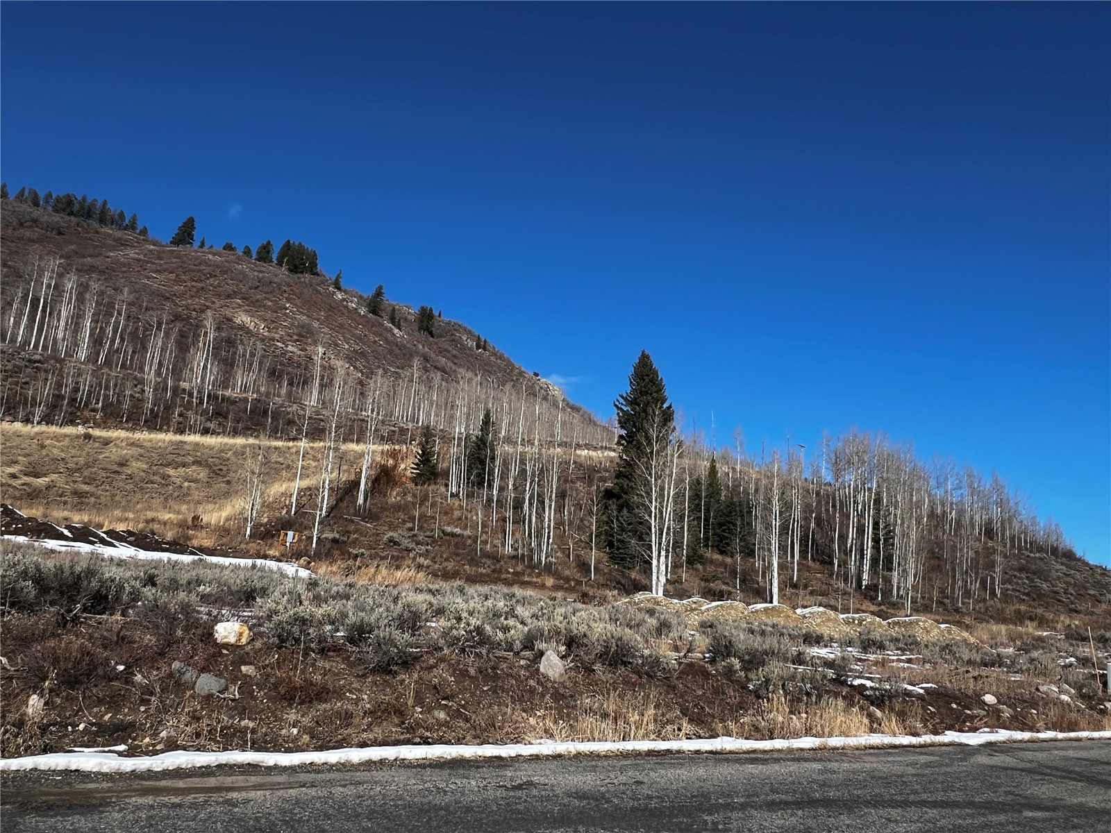 29800 County Road 64
