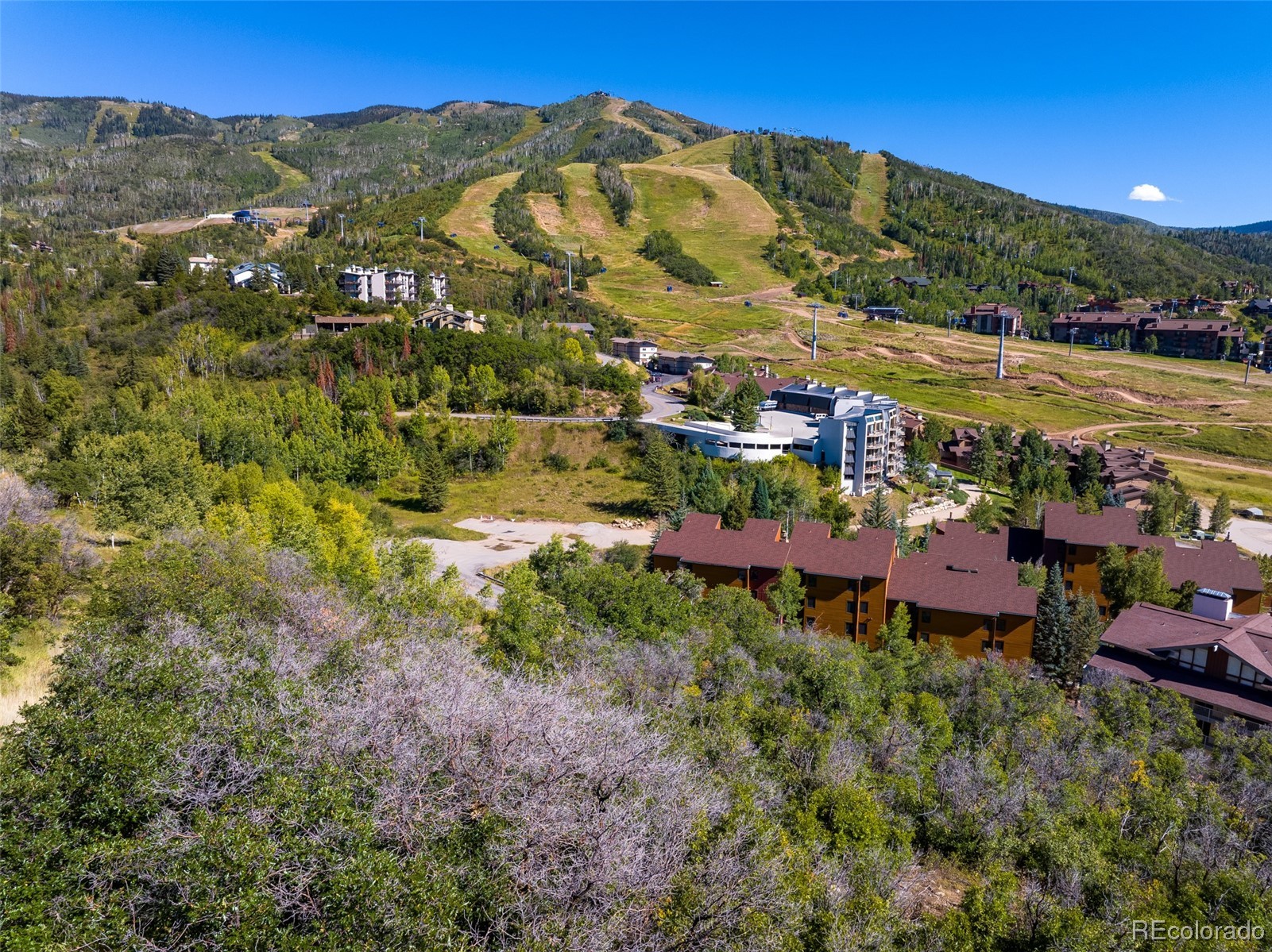 1 Burgess Creek ROAD