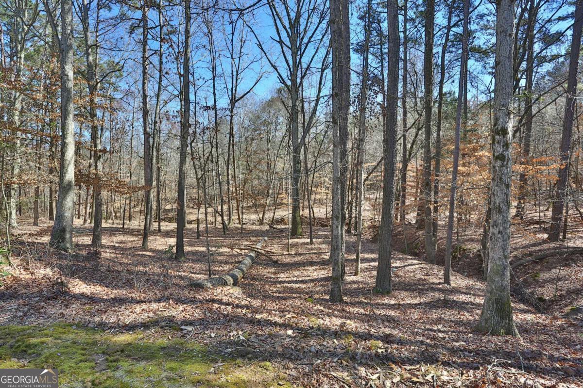 1670 Hampton Walk Drive