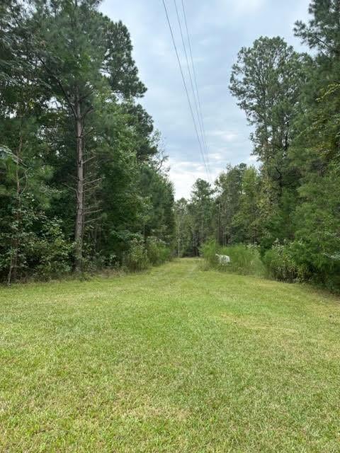3499 Old Hightower Trail