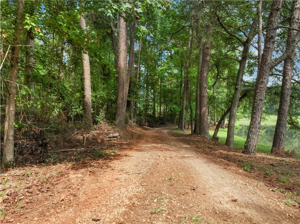 3841 Hwy 82