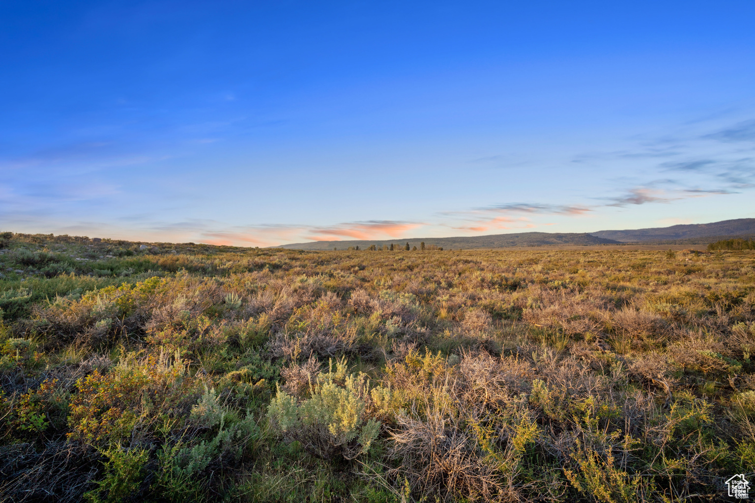 11 LANCER LN Unit: 11