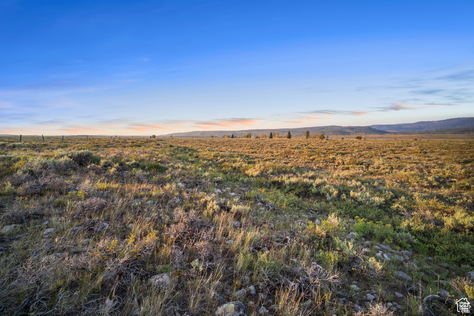 11 LANCER LN Unit: 11