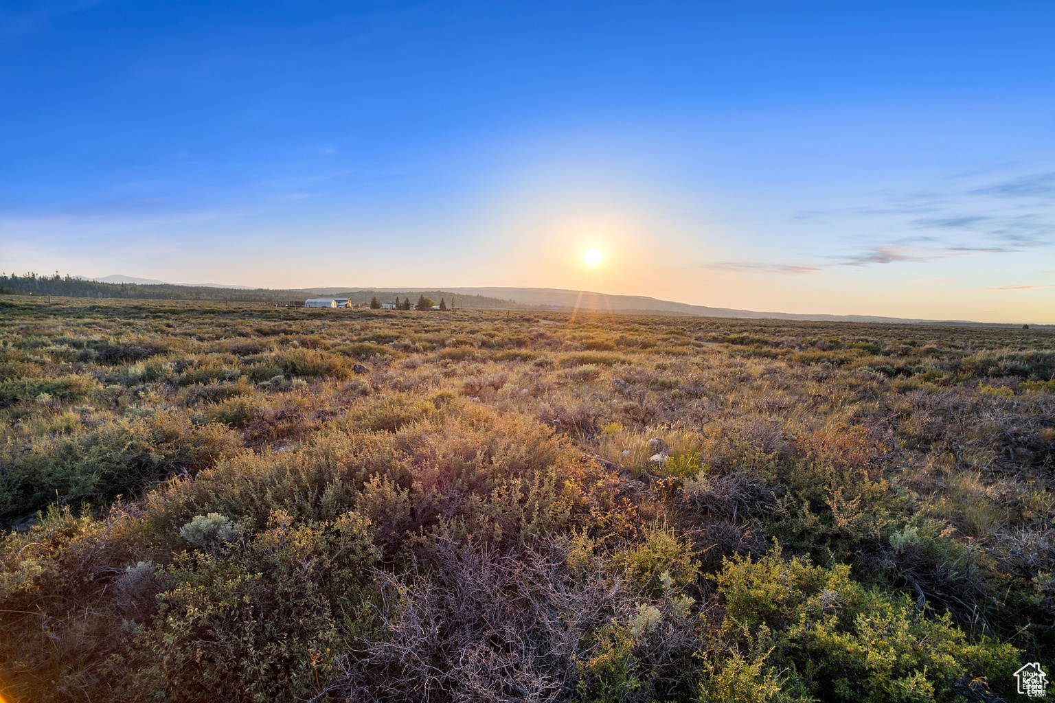 11 LANCER LN Unit: 11