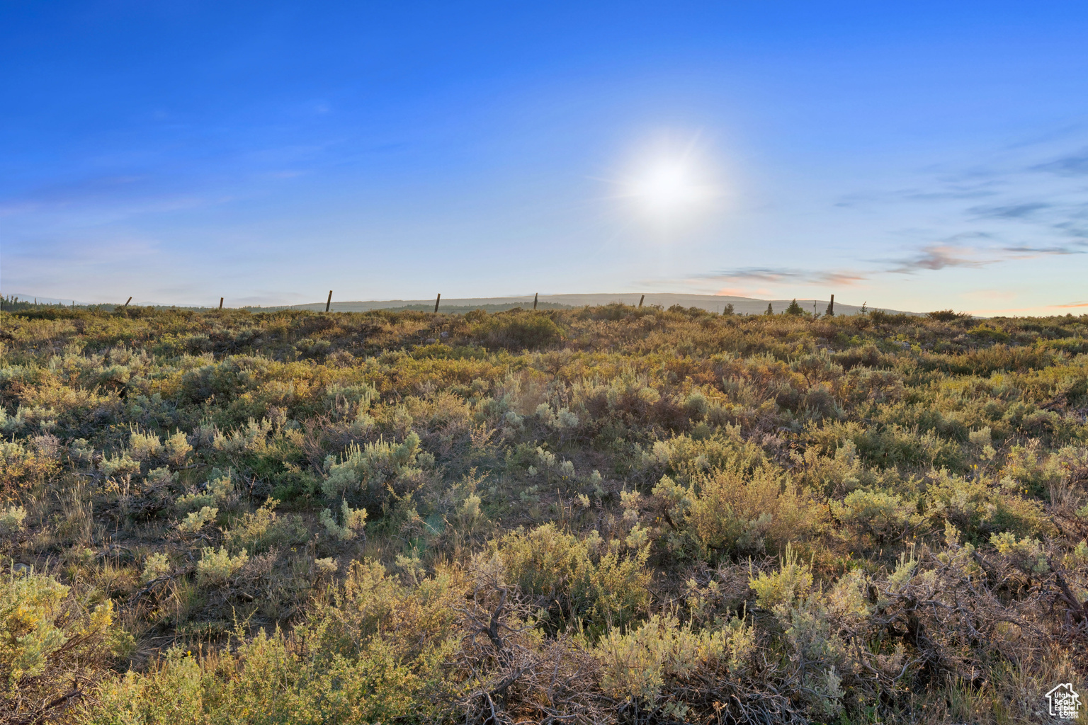 11 LANCER LN Unit: 11