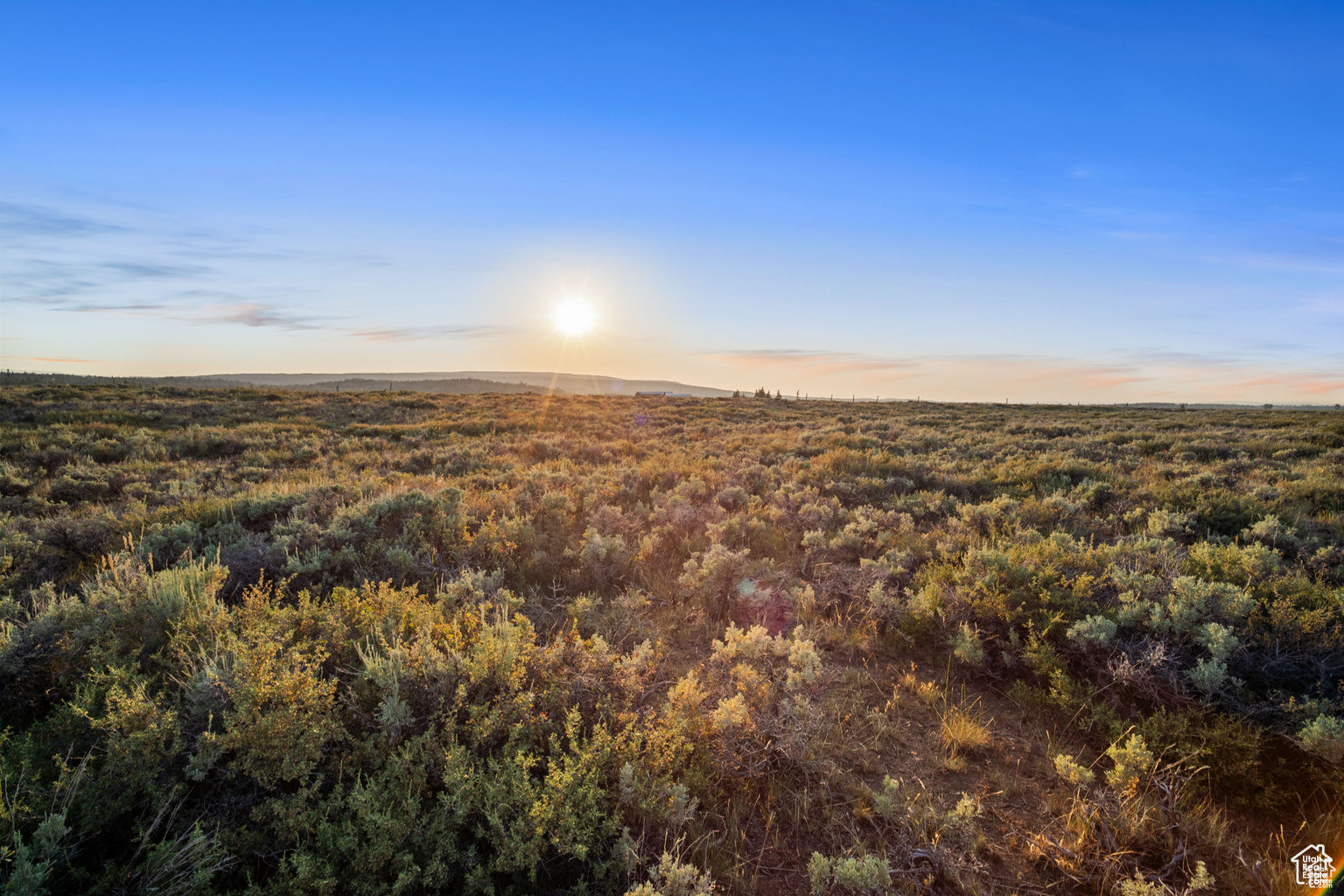 11 LANCER LN Unit: 11