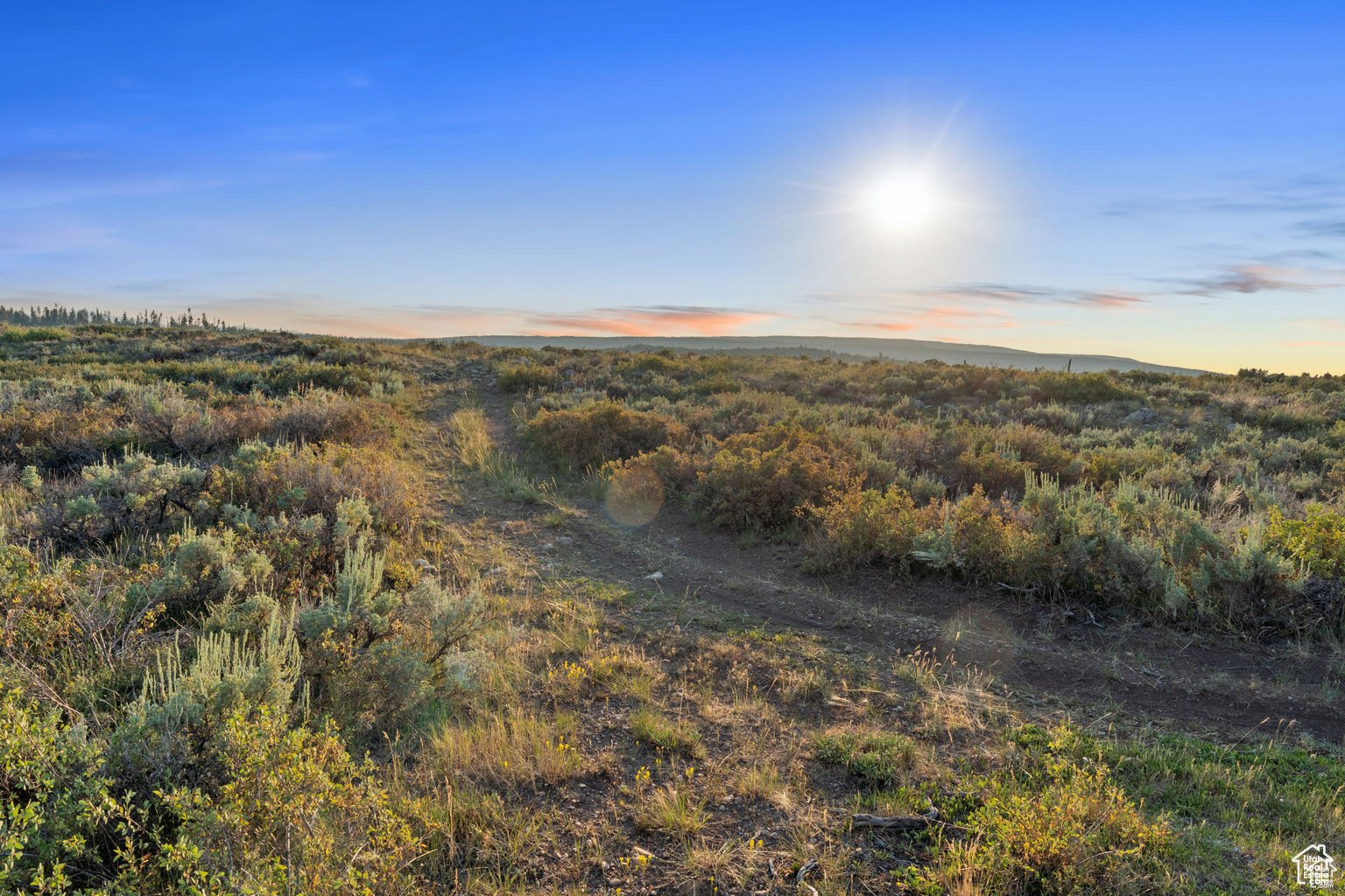 11 LANCER LN Unit: 11