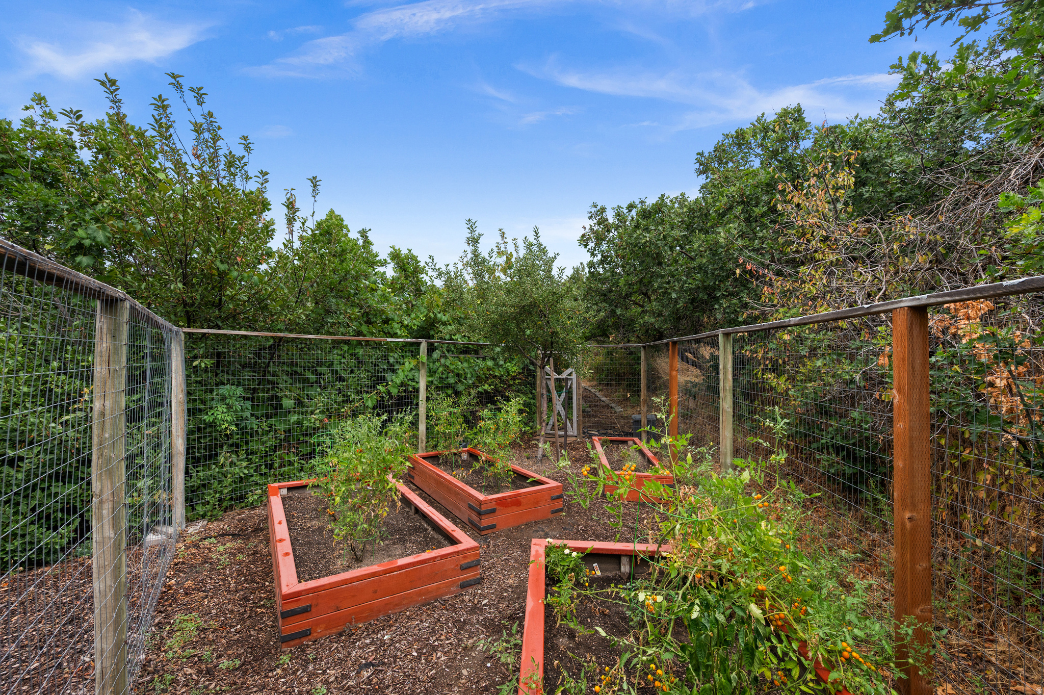 3203 E FERNWOOD DR