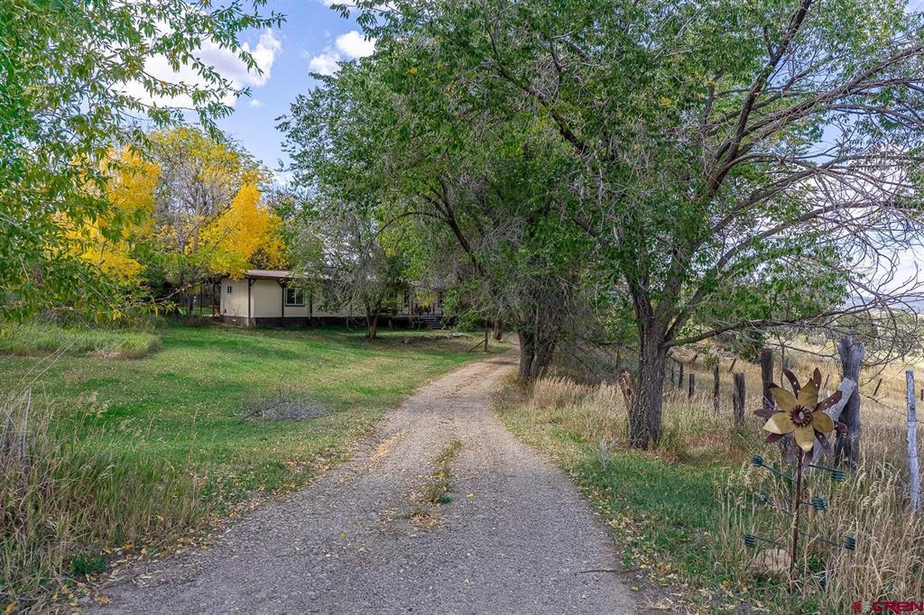 8393 Road 41