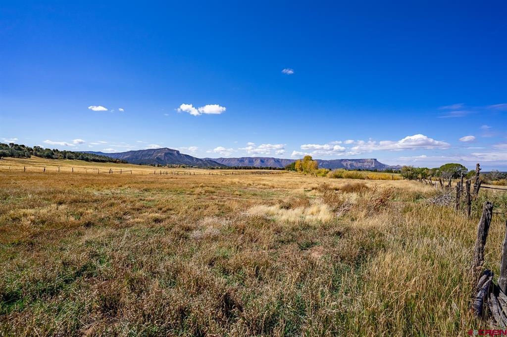 8393 Road 41