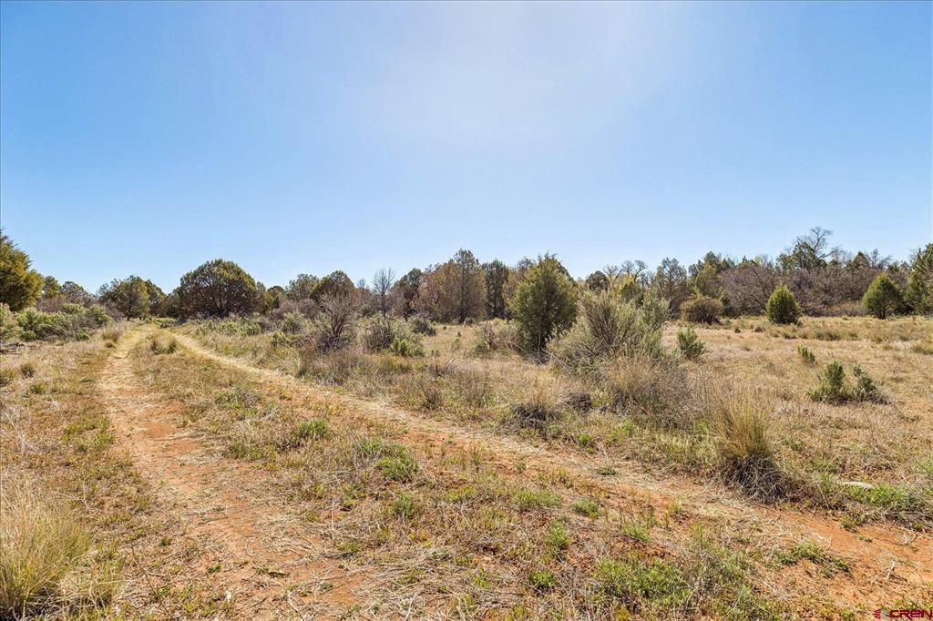 1987 County Road 122