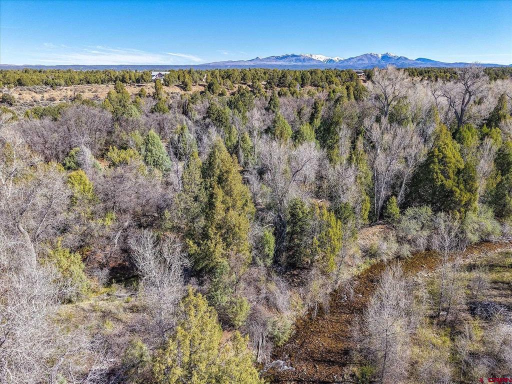1987 County Road 122