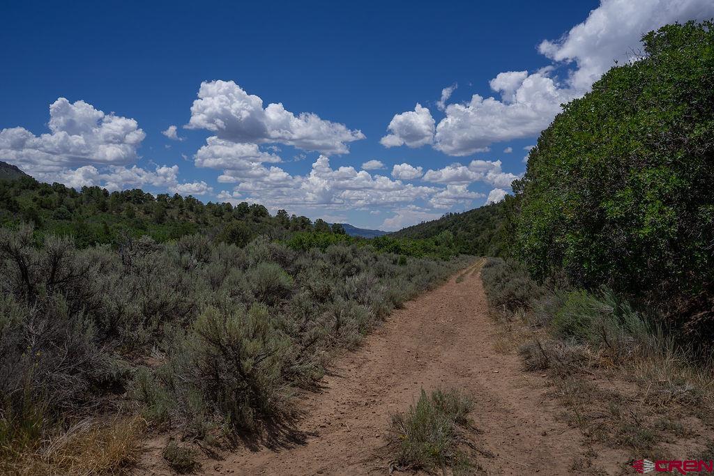 3279 County Road 237