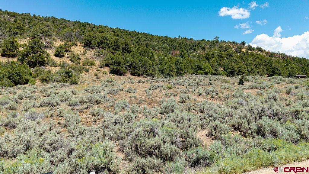 3279 County Road 237