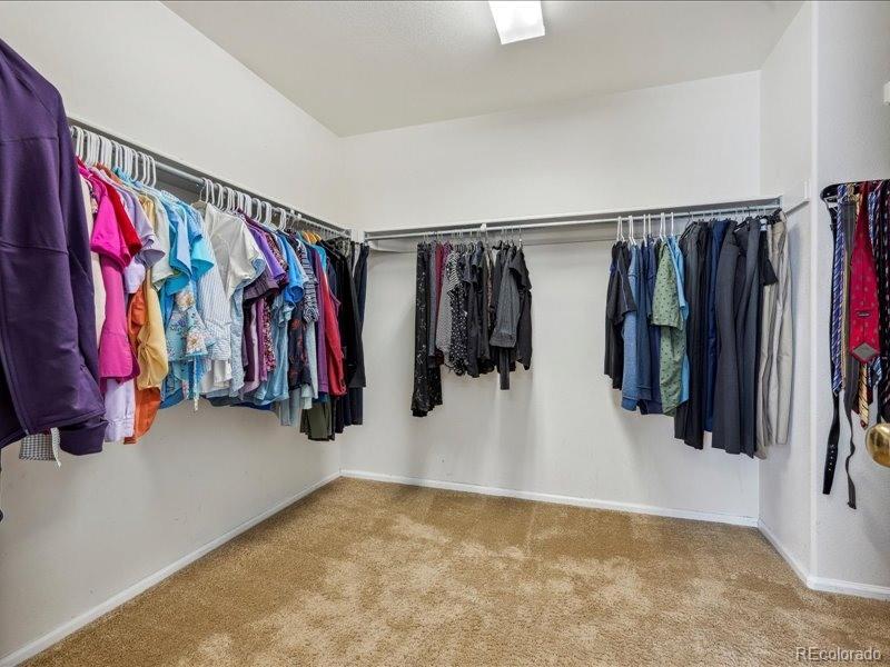 3309 Springbriar Drive