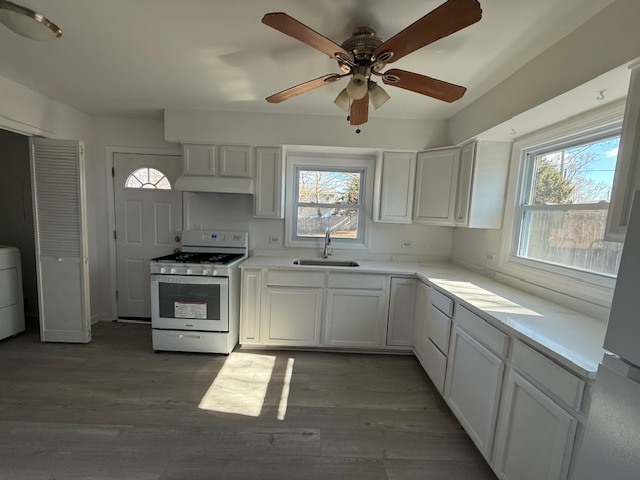 36855 N Elizabeth Drive