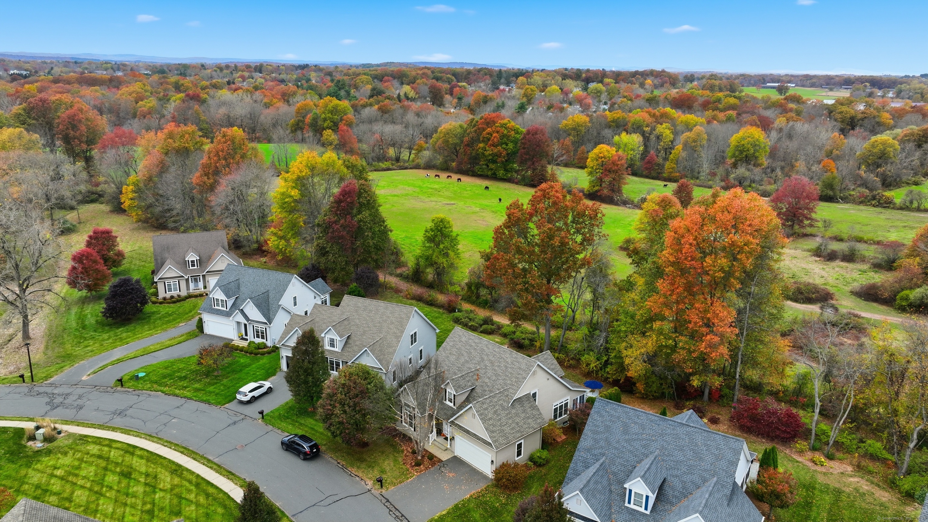 20 Greendale Drive