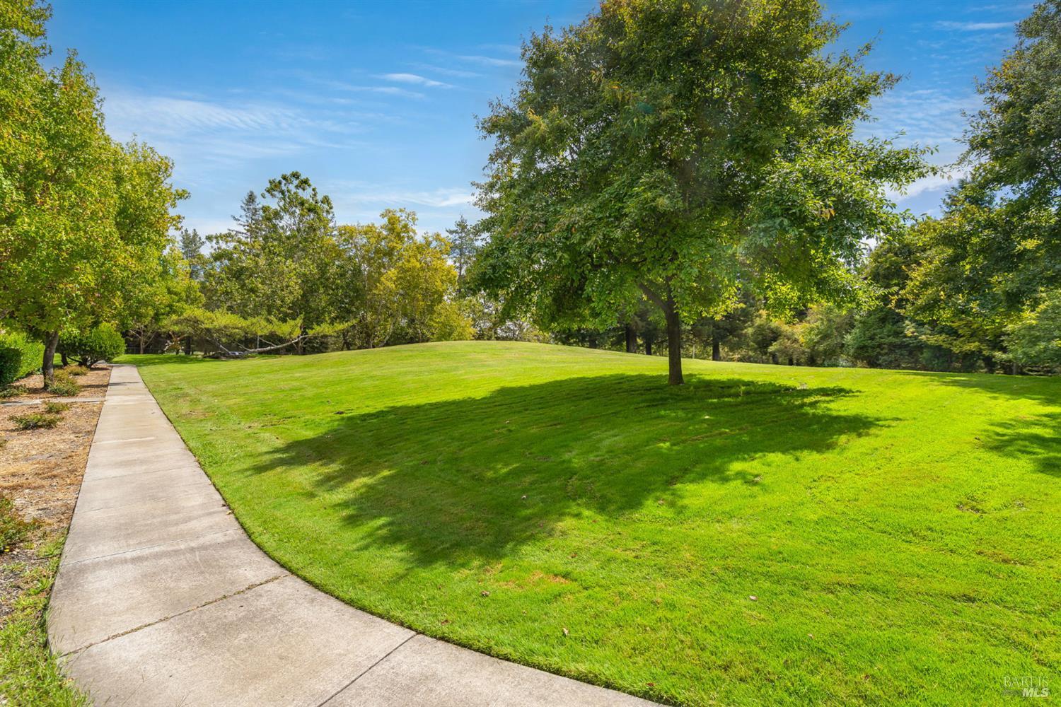 Expansive green lawn shaded by mature trees, with a curved concrete walkway.