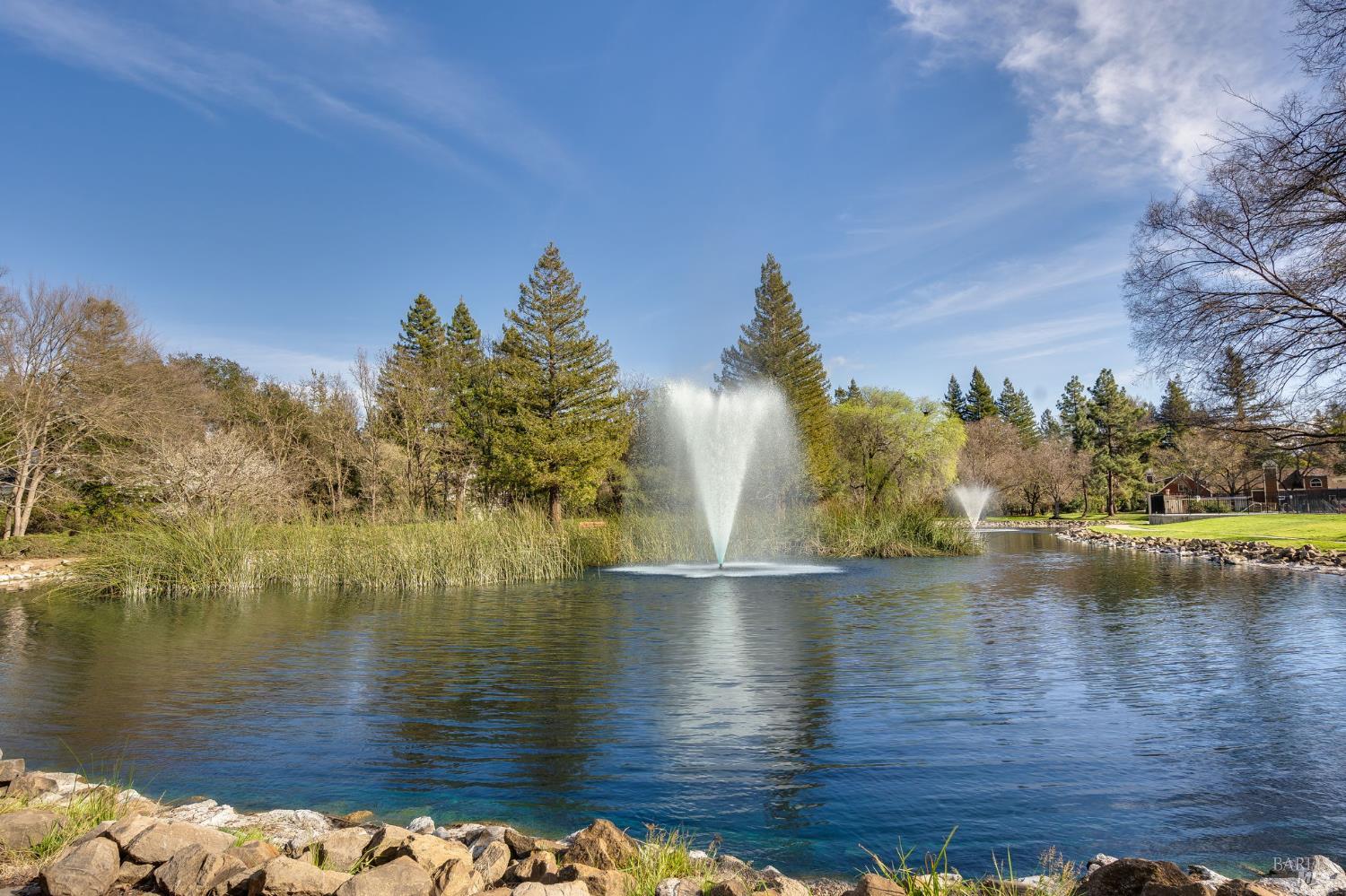 Landscaped pond with two fountains, reeds, and trees along the shore.