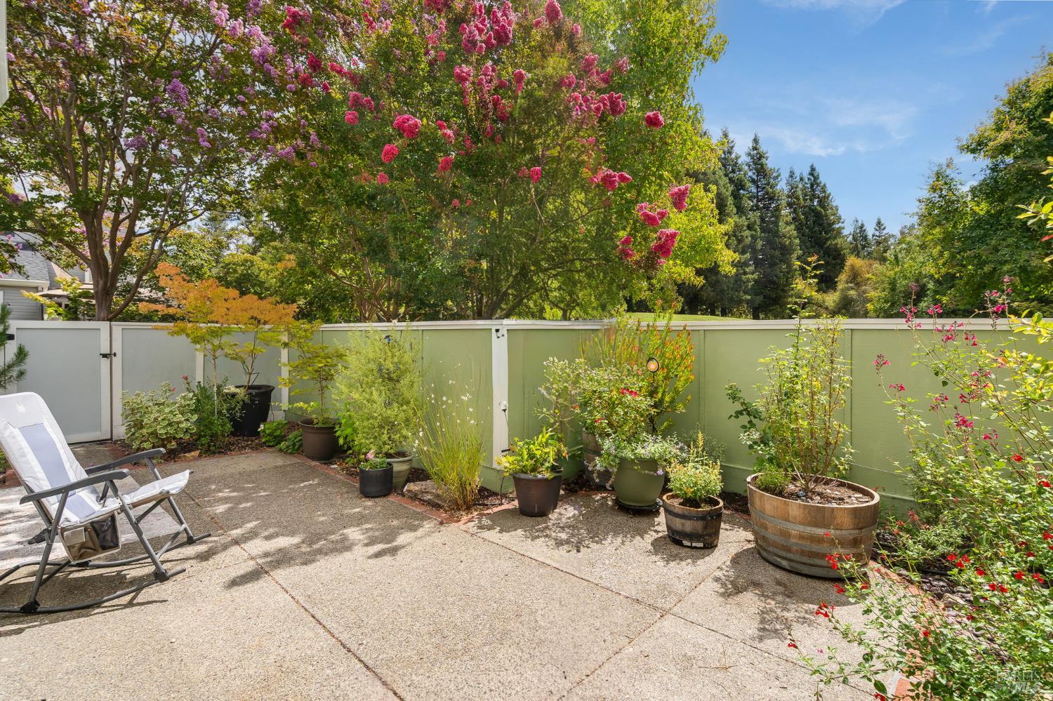 Sunny patio with lounge chairs, potted plants, and flowering trees behind a privacy fence.