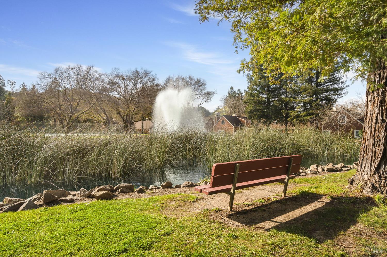 Pond with a spraying fountain and red bench beside the water.
