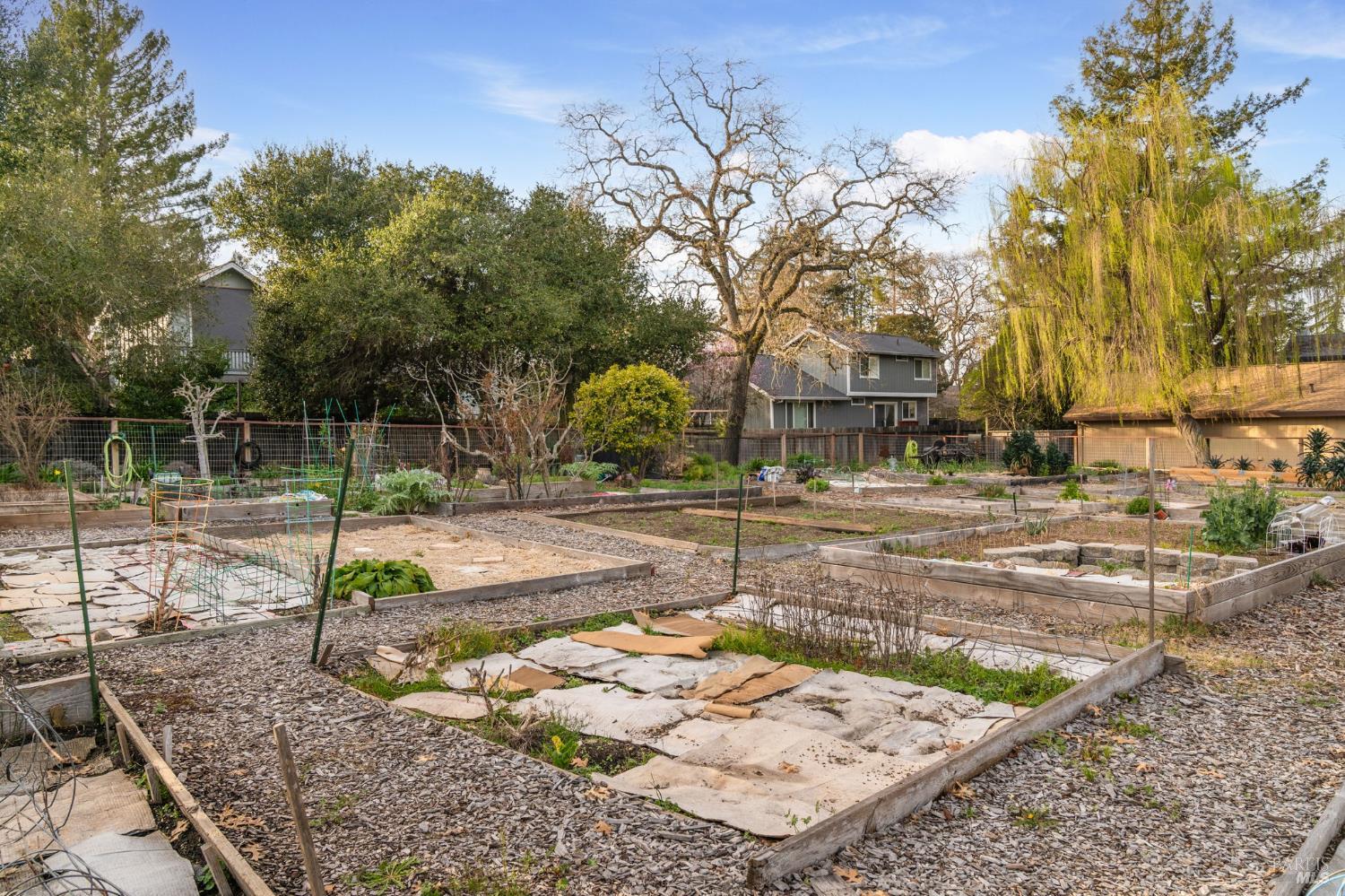 Raised garden beds and stone paths fill the yard behind a home.