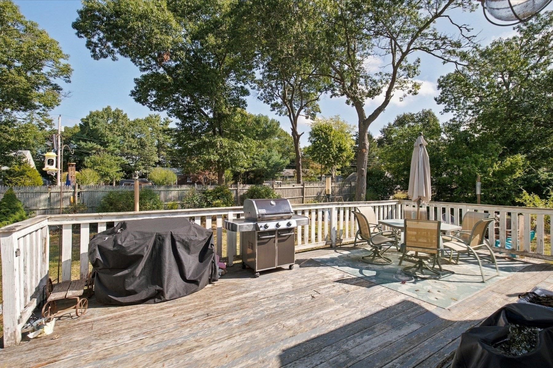 15 Summer St