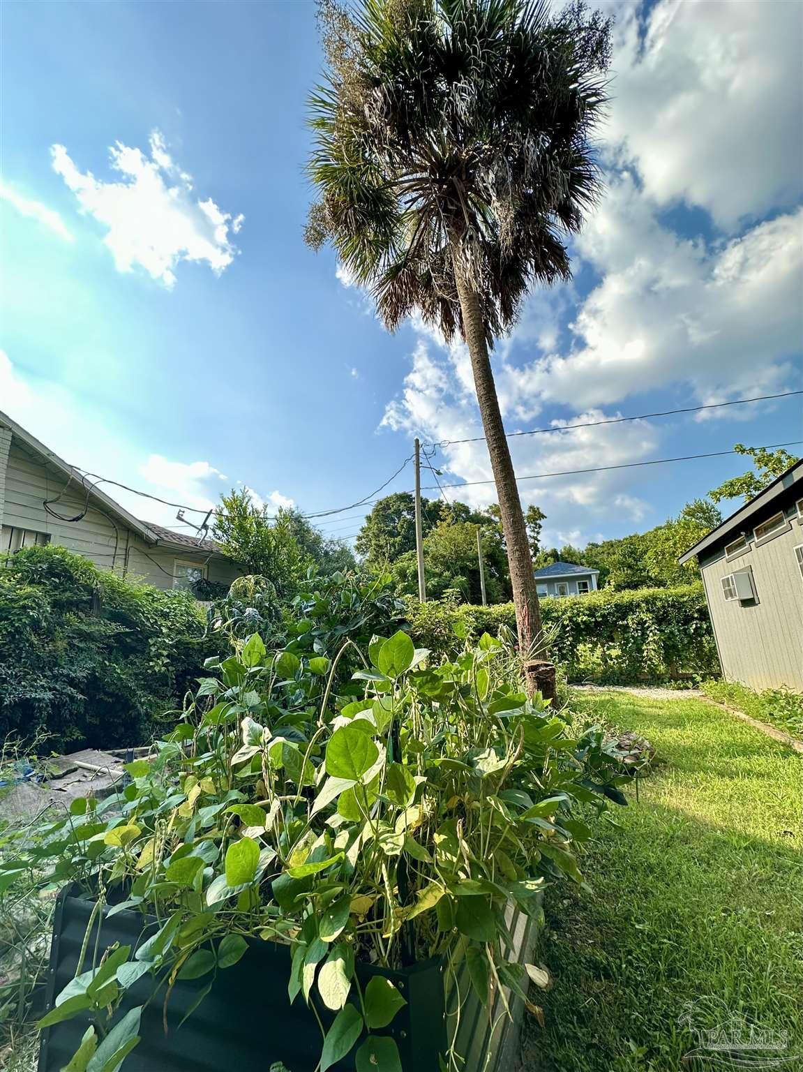 255 N C St